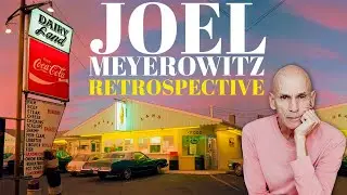 Dans l&rsquo;&oelig;il de Joel Meyerowitz