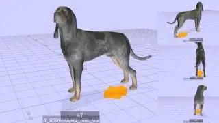 theHunter Classic  |  Scent hound animations - Work in progress