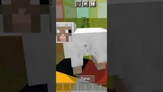 Minecraft sheep disco light colours #minecraft #trend #gaming