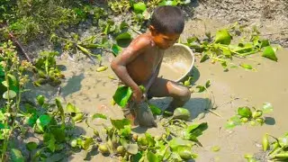 amazing hand fishing - smart boy catching catfish by hand  - best catfish catching