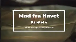 Mad fra Havet: Kapitel 4 - 