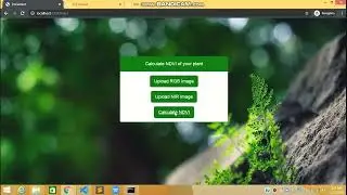 Precision Agriculture Using Normalized Difference Vegetation Index