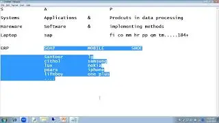 #SAP Fico Demo