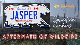 Aftermath of Jasper Wildfire 2024 - AB, Canada