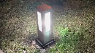 walking a dog at night