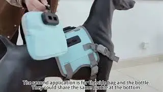 Magnetic buckle