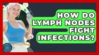 How Do Lymph Nodes Fight Infections? - All About the Immune System