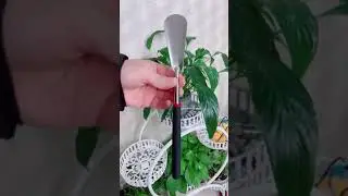 #Shorts Amazing Products TikTok Video | Shoe Horn With Telescopic Handle