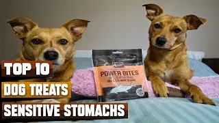 Best Treats for Dogs with Sensitive Stomachs in 2026 (Top 10 Picks)