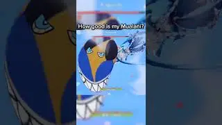 Big PP damage #genshinimpact  #showcase #genshitimpact