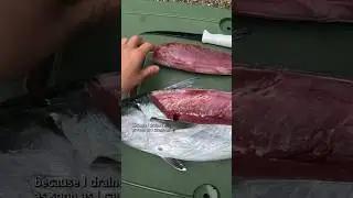 I ate a TRASH Fish&hellip; #fishing #shorts