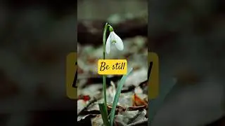 Be still in my presence you are loved
