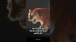 #tiger #Attitude #badboy #badboyforlife