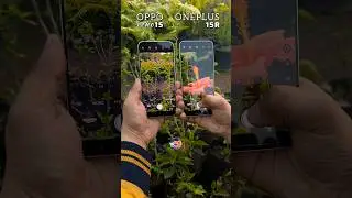 Oneplus 15R Vs Oppo Reno 15 Camera Test #mobilepapa #shorts