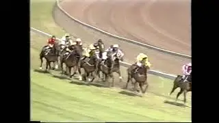 2000 Chairman's Club Stakes Flemington