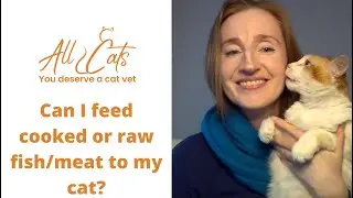 Can I feed cooked or raw meat or fish to my cat?