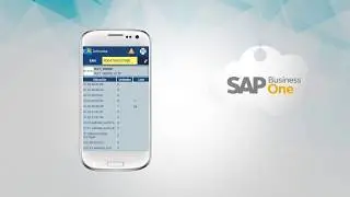 Logistic One, App para la gesti&oacute;n de almacenes en SAP Business One