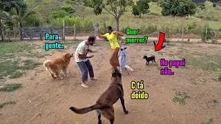 Mamãe fingindo bater no papai - Olha a reação da matilha - É só uma brincadeira viu gente..