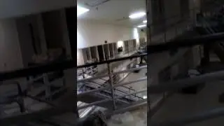 Fighting to survive