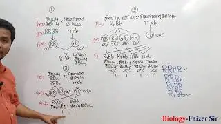PromoVideo-02
