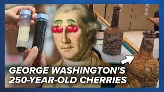 🍒 Dozens of bottles of 250-year-old preserved cherries found under George Washington’s house