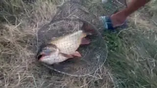 Cand ai noroc la pescuit pe Lacul Boteni 1, pescar incepator, amator la lanseta, regulament