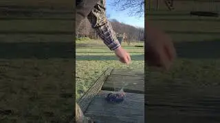 Starting a Fire with Flint and Steel