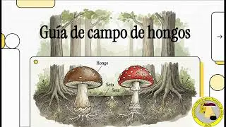Guia de campo de hongos