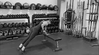 Bench Plank Dumbbell Row