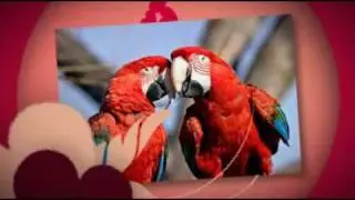 LOVE is the ICON vII
