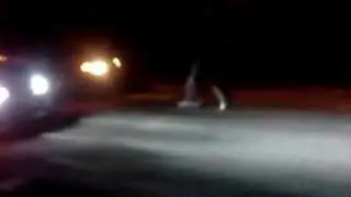 4door ek vs 4door ef