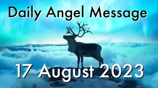 Daily Angel Message - Thursday 17 August 2023 😇 It's Time For You