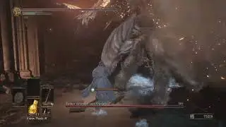 Fallen Knight fights sister friede