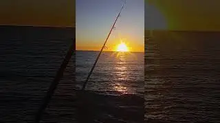 #pejerrey #piriapolis 🎣 #fishing #viralvideo