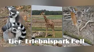 Tier- Erlebnispark Bell bei Kastellaun im Hunsr&uuml;ck