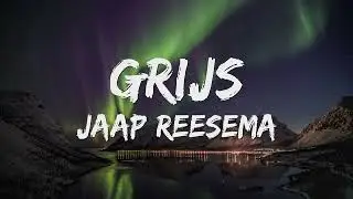 Jaap Reesema - Grijs (Songtekst/Lyrics) 🎵