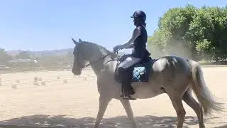 Lancefield 18/01/25. HRCAV LVL 2.2. 2nd place. 70.3%