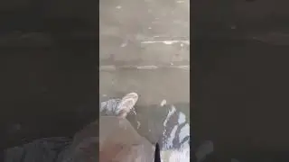 Baha na di umakalain, sana wag na magtaas pa Ang baha