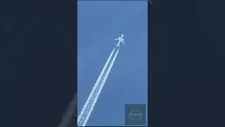 Sky High Crossroads  : The Longest Contrail Meets an Opposing Plane Above Taman Rimba #contrail