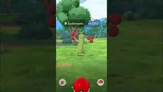 Shiny SUDOWOODO in Pokemon GO  Shiny at the Park #shorts #shinyhunting #pokemon #shinypokemon