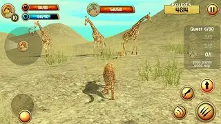 Wild Cheetah Sim 3D Android/iOS Walkthrough Gameplay #2