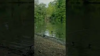 Full Scope session in 36 seconds! | From closing the front-door to netting a carp!
