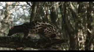 Monfrague National Park