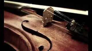 Mr. Brightside Orchestra
