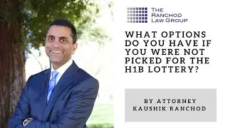 What options do You have if you were not picked for the H1b lottery?