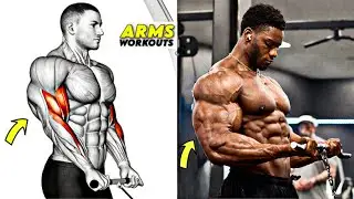 8 Best Arm Exercises for Bigger Biceps & Thicker Triceps 💪🔥