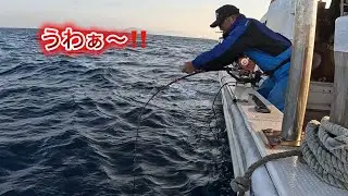 今日こそは大物クエ（アラ）を‼️