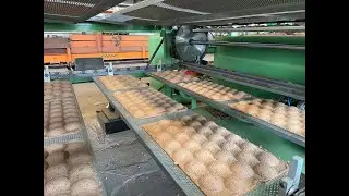 Apple tray fruit tray machine with 4 layer metal dryer