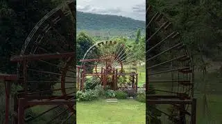 Pure Peace in an Outdoor Setting
