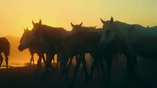Running Wild - Written, composed and performed by Elise Jones